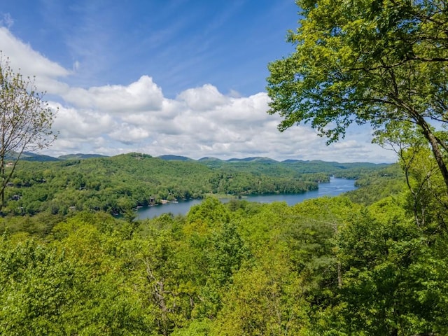 57 Loch Dr, Glenville, NC 28736 - water view with a forest and a mountainous background