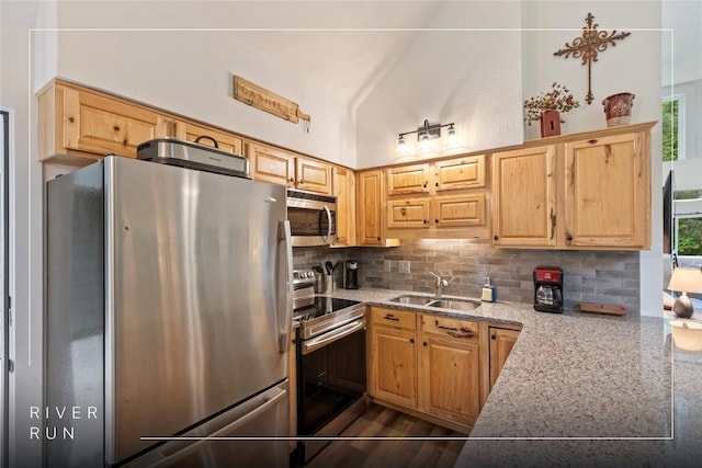260 River Run Unit 1909, Sapphire, NC 28774 - kitchen featuring appliances with stainless steel finishes, a sink, decorative backsplash, light stone countertops, and dark wood-style flooring