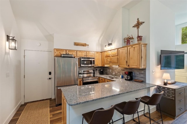 260 River Run Unit 1909, Sapphire, NC 28774 - kitchen featuring stainless steel appliances, tasteful backsplash, wood finished floors, light stone counters, and a peninsula