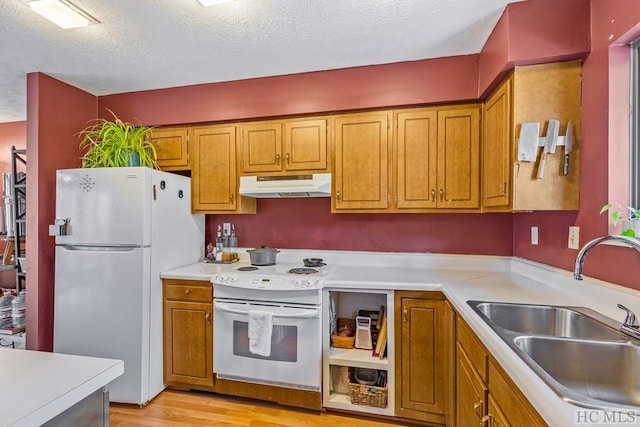 kitchen featuring sink, a textured ceiling, white appliances, and light hardwood / wood-style flooring