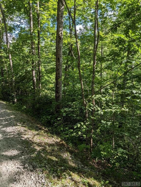 LOT24 Pilot Knob Rd, Glenville NC, 28736 land for sale