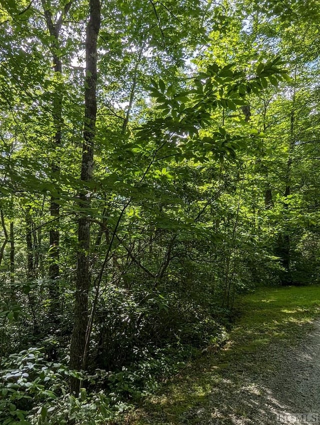 Listing photo 3 for LOT24 Pilot Knob Rd, Glenville NC 28736