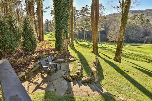 view of yard with a patio area