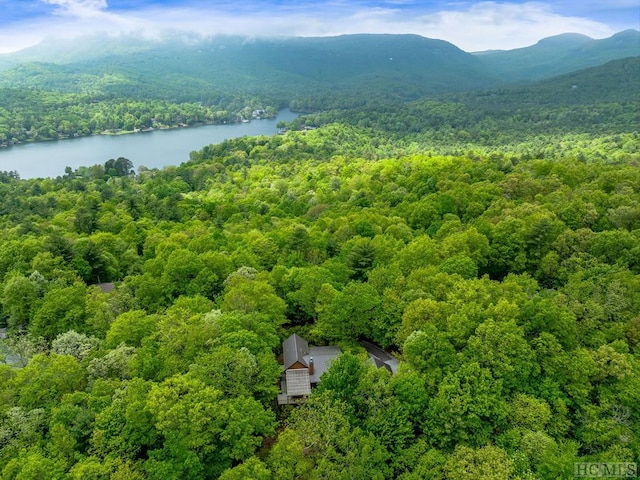 birds eye view of property featuring a water and mountain view