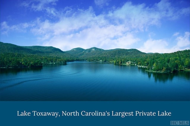 property view of water with a mountain view