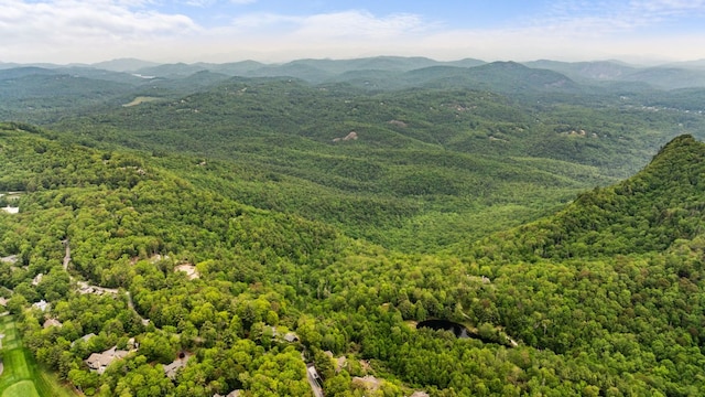 592 Whiteside Mountain Rd, Highlands, NC 28741 - view of mountain background featuring a heavily wooded area