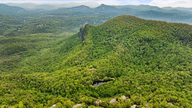 592 Whiteside Mountain Rd, Highlands, NC 28741 - view of mountain backdrop featuring a heavily wooded area