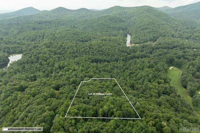 aerial view with a mountain view