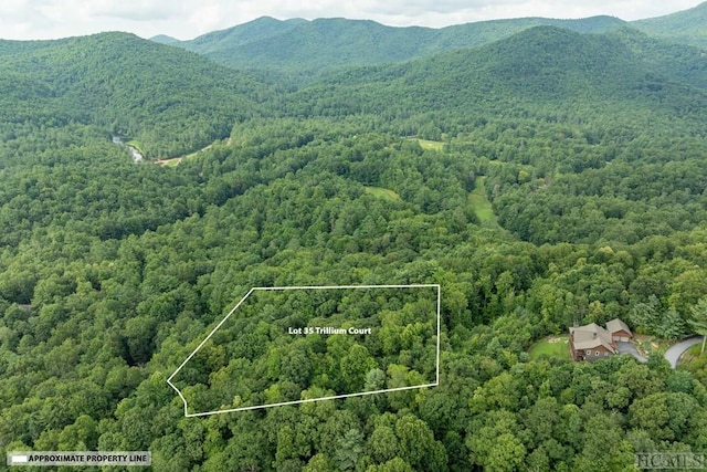 drone / aerial view featuring a mountain view