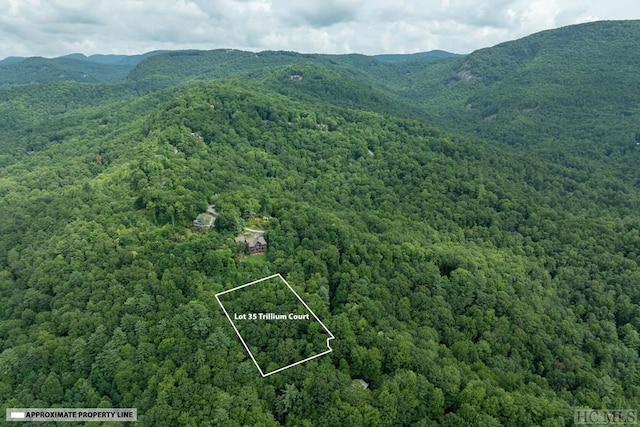 aerial view with a mountain view