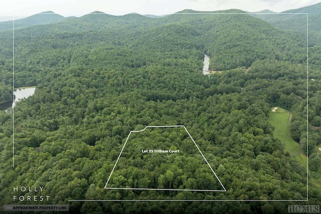 aerial view featuring a mountain view