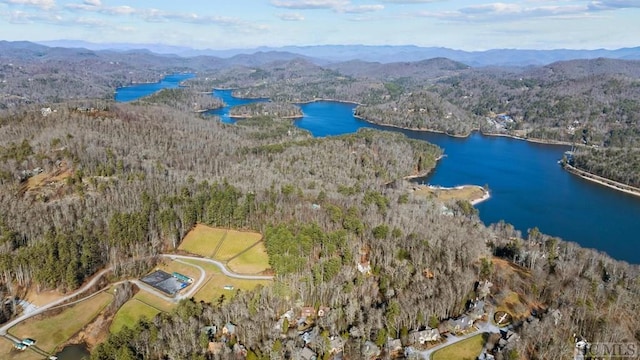 birds eye view of property with a water and mountain view