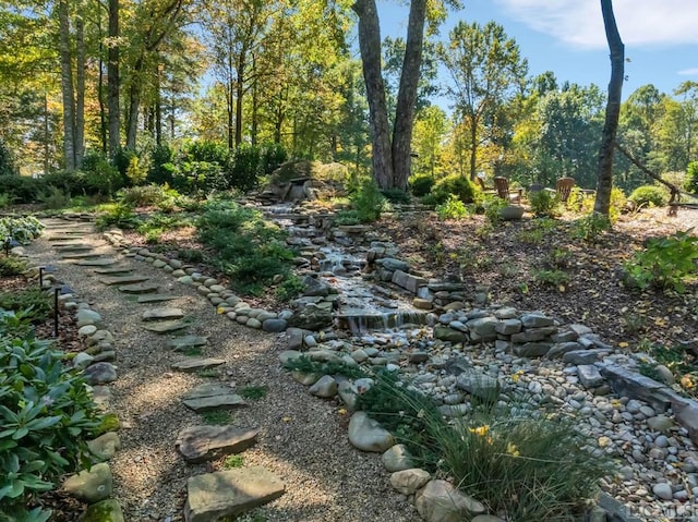 view of local wilderness