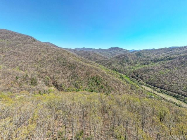 Listing photo 3 for TBD Moses Creek Rd, Cullowhee NC 28723