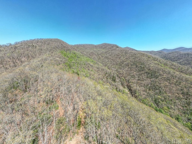 Listing photo 2 for TBD Moses Creek Rd, Cullowhee NC 28723