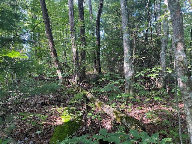 LOT17 Whitewater Ridge Rd, Sapphire NC, 28774 land for sale