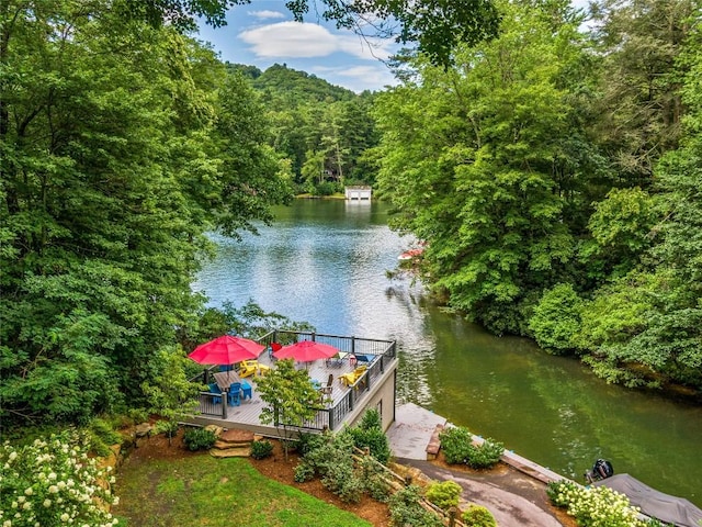 64 Bee Tree Way, Lake Toxaway, NC 28747 - photo 6