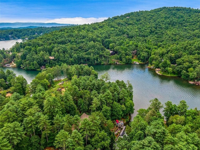 64 Bee Tree Way, Lake Toxaway, NC 28747 - photo 48