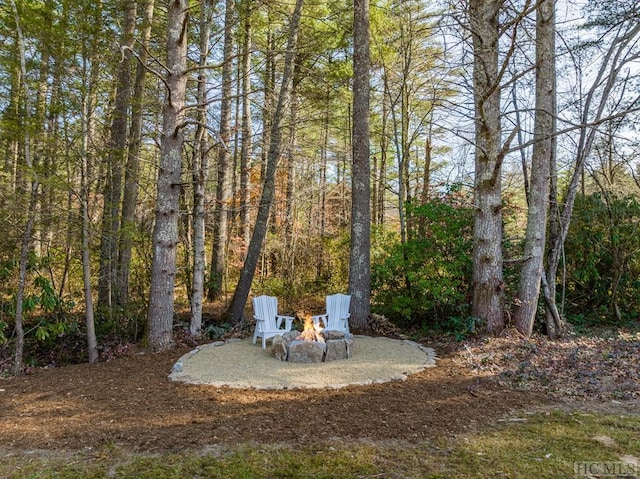 view of yard featuring a fire pit