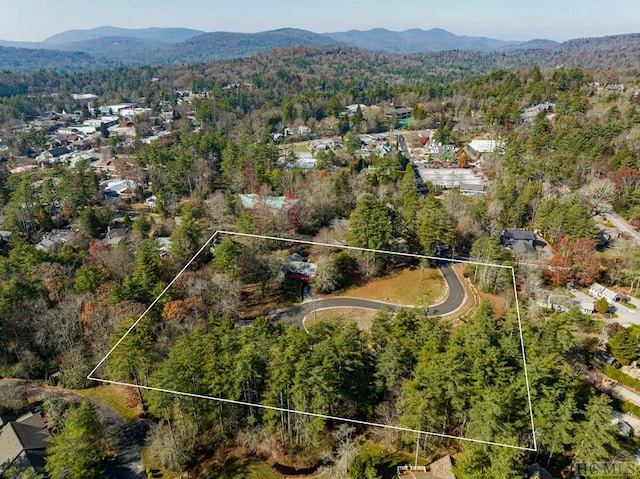 aerial view with a mountain view