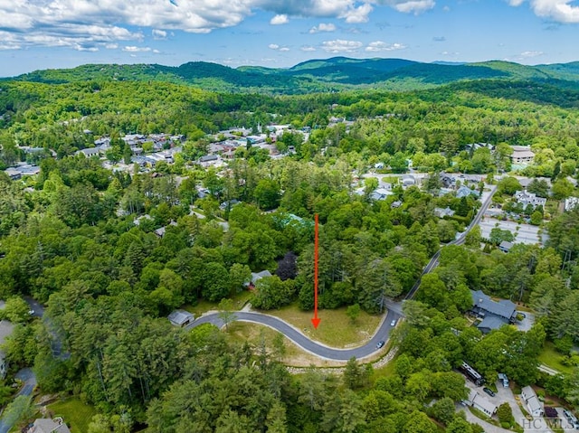 bird's eye view with a mountain view