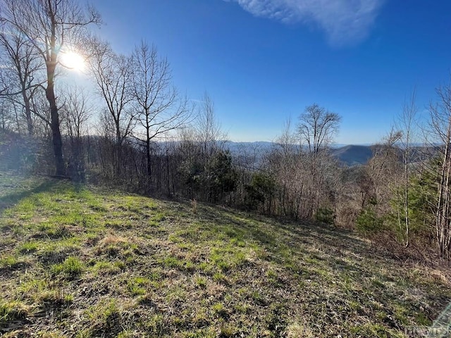 Listing photo 3 for 99999 Buck Knob Rd, Scaly Mountain NC 28775