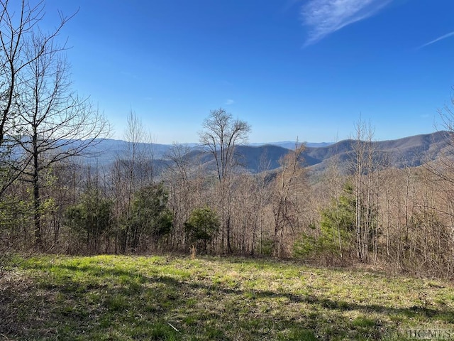 99999 Buck Knob Rd, Scaly Mountain NC, 28775 land for sale