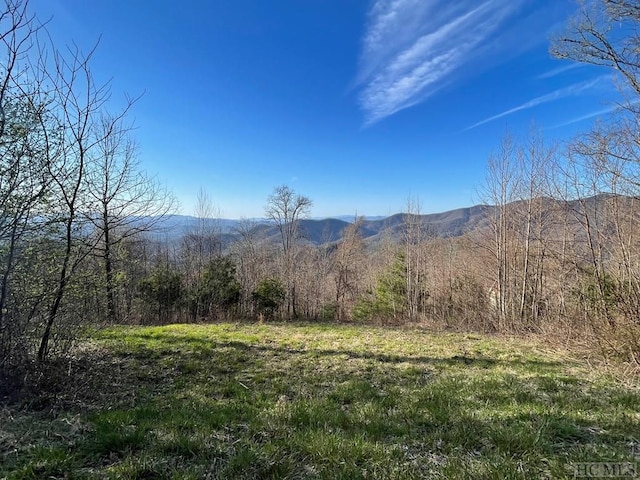 Listing photo 2 for 99999 Buck Knob Rd, Scaly Mountain NC 28775