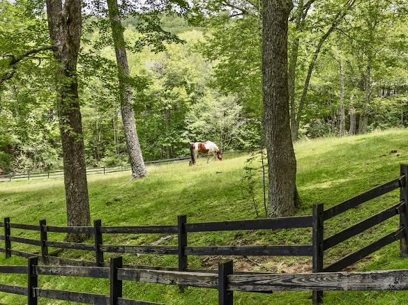 11 Feldspar Ln, Sapphire, NC 28774 - view of yard