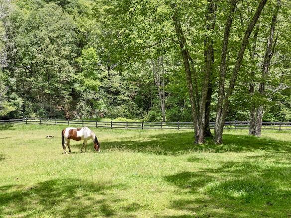 11 Feldspar Ln, Sapphire, NC 28774 - view of property location featuring property parcel outlined