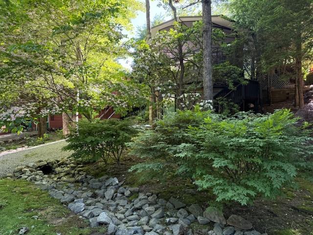 26 S Cumberland Dr, Lake Toxaway, NC 28747 - view of nature