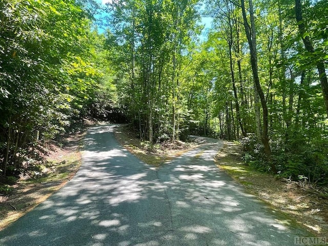 LOT283 Pine Cone Ct, Sapphire NC, 28774 land for sale