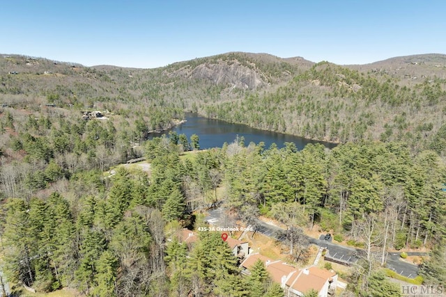 drone / aerial view with a water and mountain view