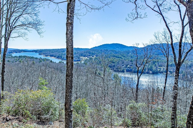 view of mountain feature featuring a water view