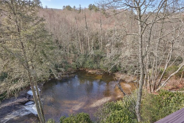 view of water feature