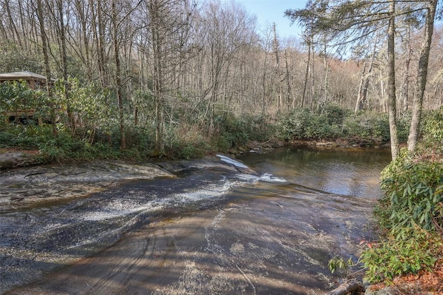 97 Twin Kettle Fls, Glenville, NC 28736 - water view with a wooded view