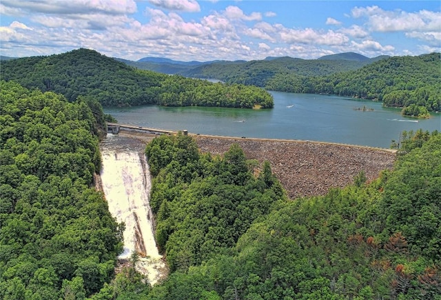 view of water feature with a mountain view