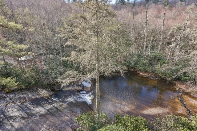 97 Twin Kettle Fls, Glenville, NC 28736 - property view of water featuring a forest view