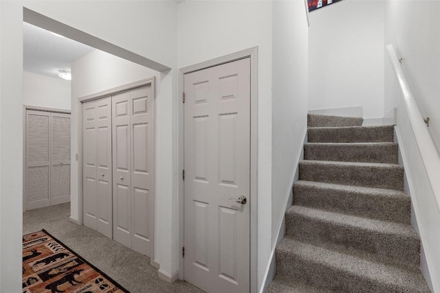 stairway featuring carpet floors