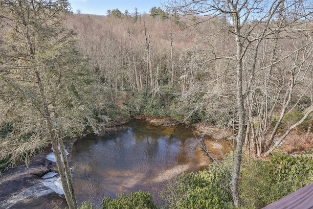 97 Twin Kettle Fls, Glenville, NC 28736 - view of water feature