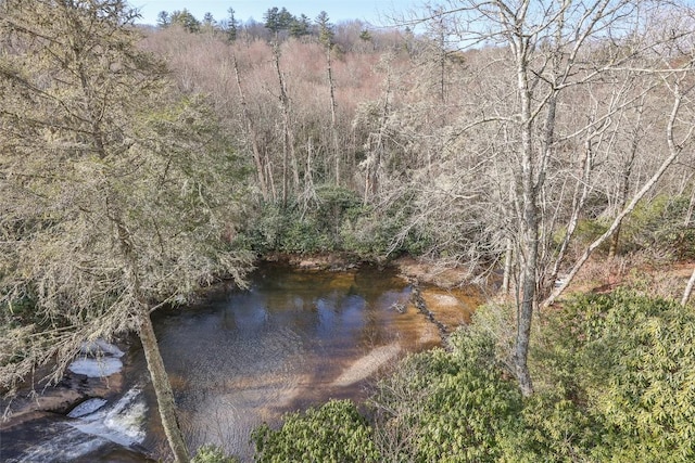 view of water feature