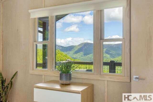 63 Evans Creek Rd, Scaly Mountain, NC 28775