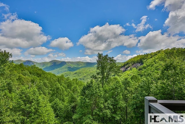 63 Evans Creek Rd, Scaly Mountain, NC 28775