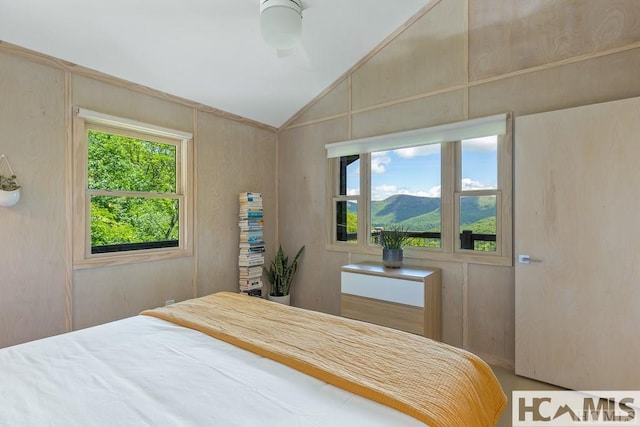 63 Evans Creek Rd, Scaly Mountain, NC 28775