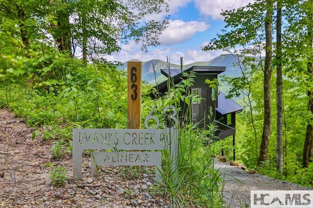 63 Evans Creek Rd, Scaly Mountain, NC 28775