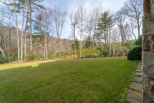 185 Little Cottage Way, Sapphire, NC 28774 - photo 56