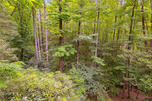 132 Azalea Ct, Sapphire, NC 28774 - view of wooded area