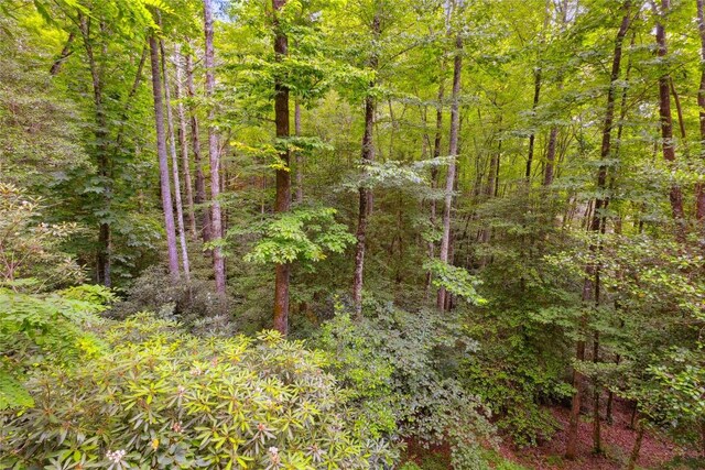 132 Azalea Ct, Sapphire, NC 28774 - photo 50