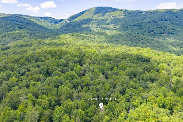 132 Azalea Ct, Sapphire, NC 28774 - mountain view featuring a forest