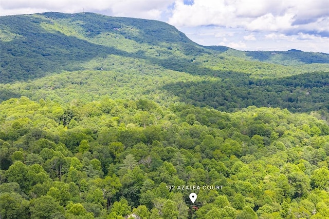 132 Azalea Ct, Sapphire, NC 28774 - view of mountain background featuring a forest